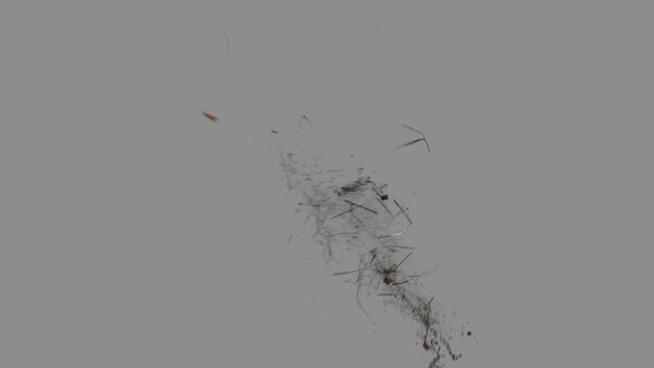 Grass & Leaves Bullet Hits Angled Grass Hit 2 vfx asset stock footage