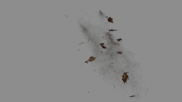 Grass & Leaves Bullet Hits Angled Leaves Hit 2 vfx asset stock footage