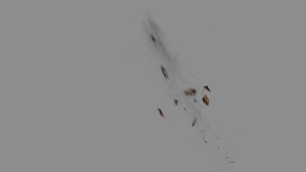 Grass & Leaves Bullet Hits Angled Leaves Hit 3 vfx asset stock footage