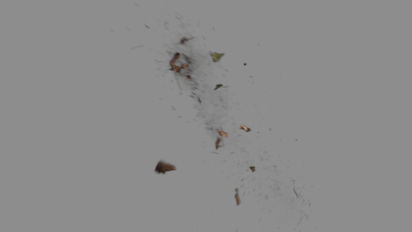 Grass & Leaves Bullet Hits Angled Leaves Hit 4 vfx asset stock footage