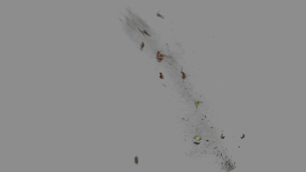 Grass & Leaves Bullet Hits Angled Leaves Hit 5 vfx asset stock footage