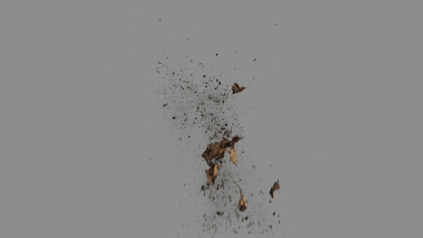 Grass & Leaves Bullet Hits Slow Motion Leaves Hit 3 vfx asset stock footage