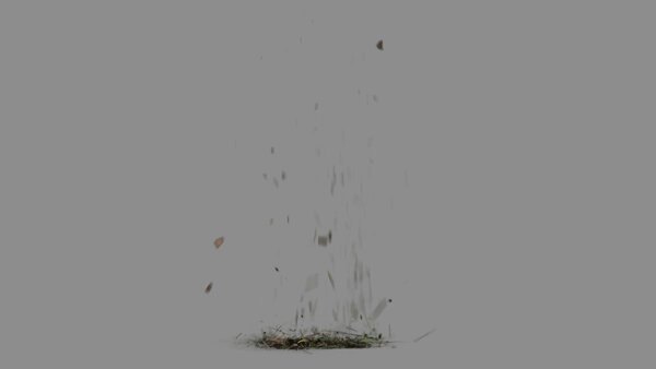 Grass & Leaves Bullet Hits Grass Debris Landing 3 vfx asset stock footage