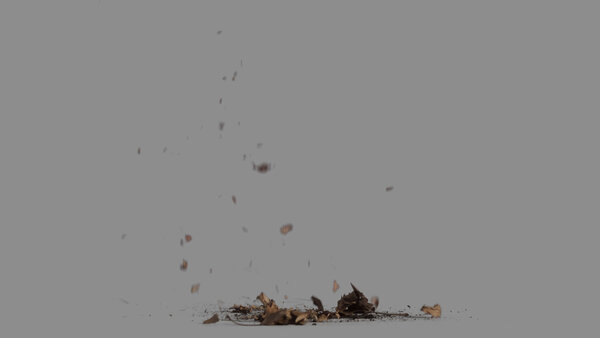 Grass & Leaves Bullet Hits Leaves Debris Landing 1 vfx asset stock footage