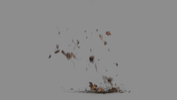 Grass & Leaves Bullet Hits Leaves Debris Landing 2 vfx asset stock footage
