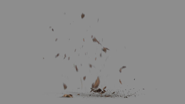 Grass & Leaves Bullet Hits Leaves Debris Landing 3 vfx asset stock footage