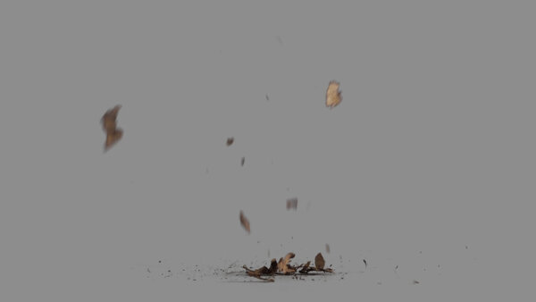 Grass & Leaves Bullet Hits Leaves Debris Landing 4 vfx asset stock footage