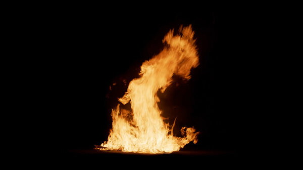 Ground Fire Vol. 3 Wood Ground Fire 1 vfx asset stock footage