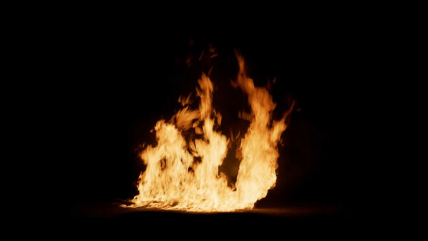 Ground Fire Vol. 3 Wood Ground Fire 2 vfx asset stock footage
