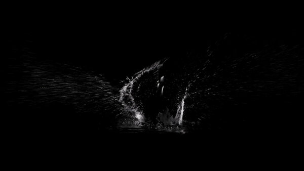 Swimming Splashes Vol. 1 Continuous Swimming Front 2 vfx asset stock footage