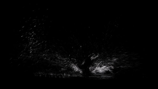 Swimming Splashes Vol. 1 Continuous Swimming Front 3 vfx asset stock footage