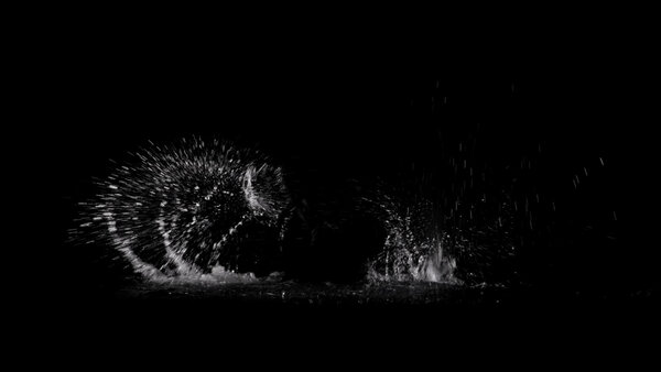 Swimming Splashes Vol. 1 Continuous Swimming Side 2 vfx asset stock footage