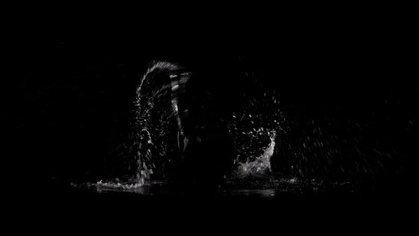 Swimming Splashes Vol. 1 Continuous Swimming Side 3 vfx asset stock footage