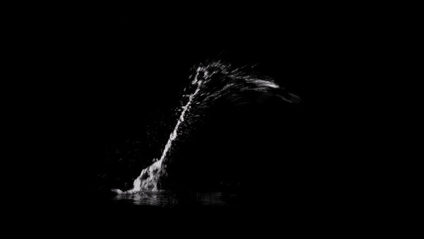 Swimming Splashes Vol. 1 Single Arm Stroke 1 vfx asset stock footage