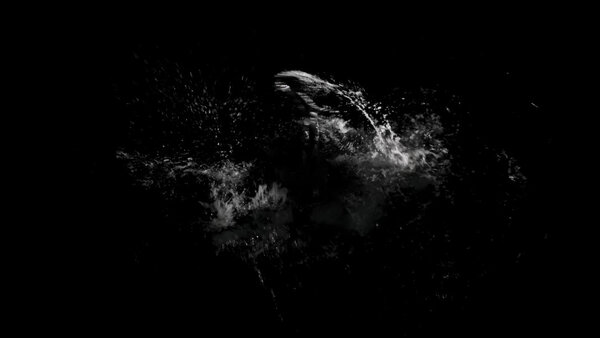 Swimming Splashes Vol. 1 Swimming High Angle 2 vfx asset stock footage