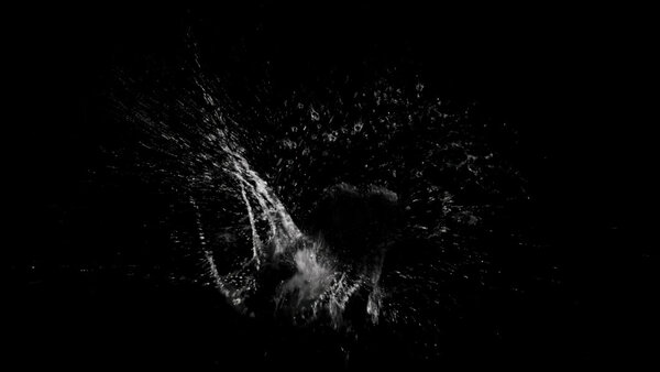 Swimming Splashes Vol. 1 Single Stroke High Angle 3 vfx asset stock footage