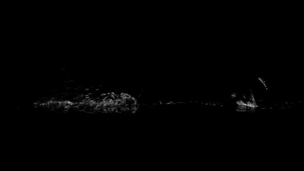 Foot Splashes Walking Foot Splashes 4 vfx asset stock footage