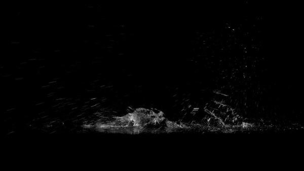 Foot Splashes Jogging Foot Splashes 2 vfx asset stock footage