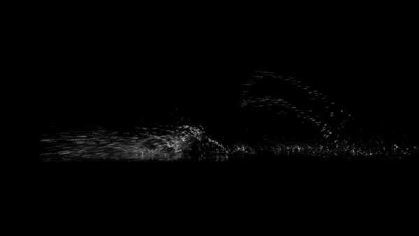 Foot Splashes Running Foot Splashes 4 vfx asset stock footage