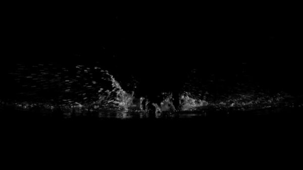 Foot Splashes Constant Foot Splashes 2 vfx asset stock footage