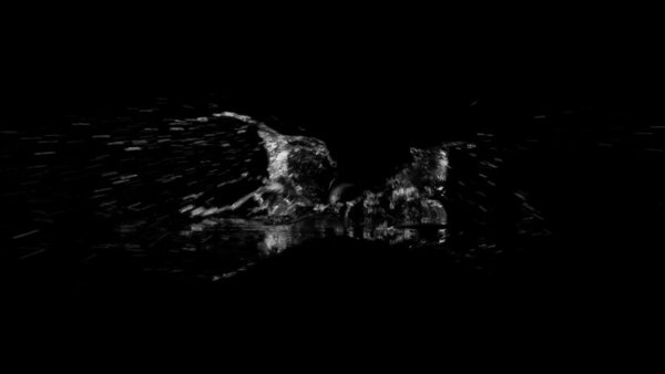 Foot Splashes Single Steps Front 1 vfx asset stock footage