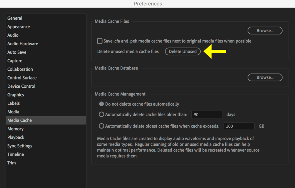 after effects cache location